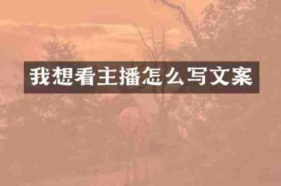 我想看主播怎么写文案