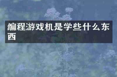 编程游戏机是学些什么东西
