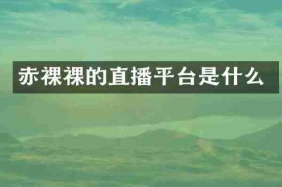赤裸裸的直播平台是什么