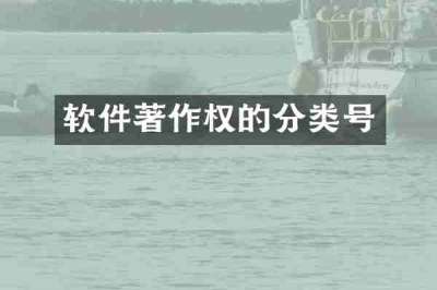 软件著作权的分类号