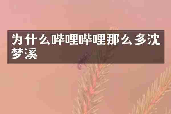 为什么哔哩哔哩那么多沈梦溪