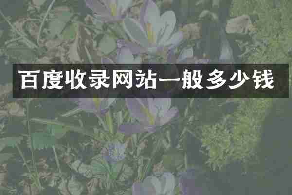 百度收录网站一般多少钱