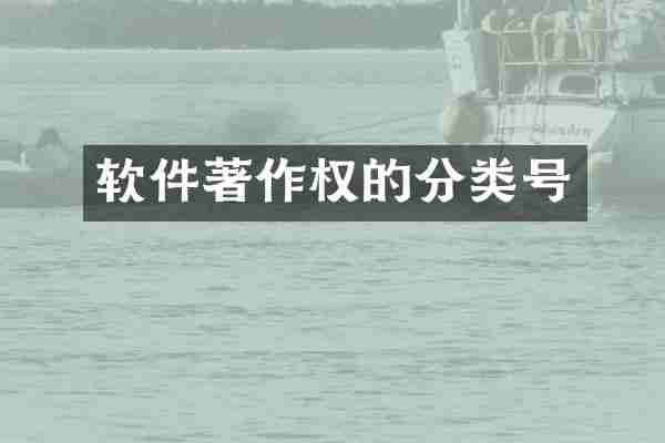 软件著作权的分类号