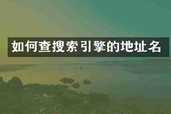 如何查搜索引擎的地址名