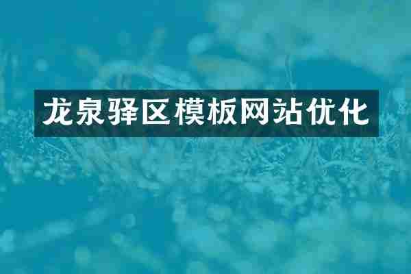 龙泉驿区模板网站优化