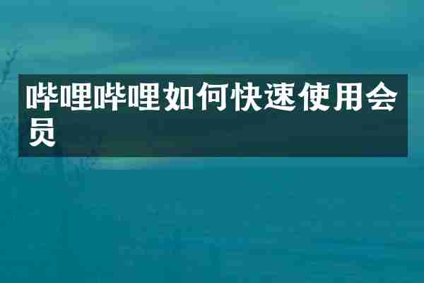 哔哩哔哩如何快速使用会员
