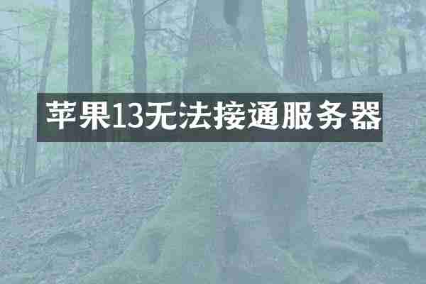 苹果13无法接通服务器
