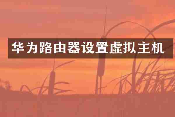 华为路由器设置虚拟主机