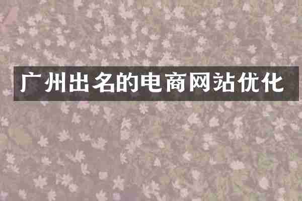 广州出名的电商网站优化