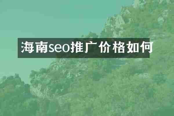海南seo推广价格如何