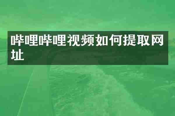 哔哩哔哩视频如何提取网址