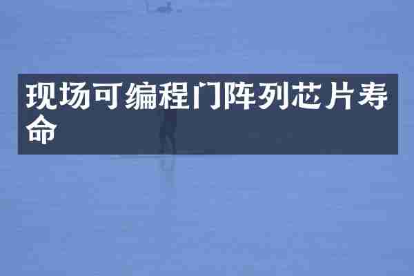 现场可编程门阵列芯片寿命