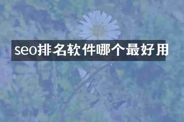 seo排名软件哪个最好用
