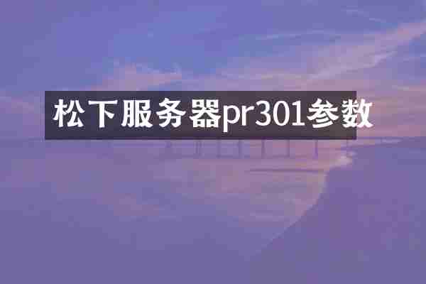 服务器pr301参数