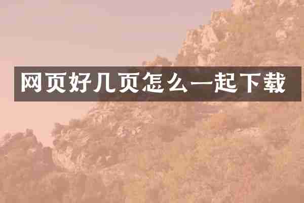 网页好几页怎么一起下载