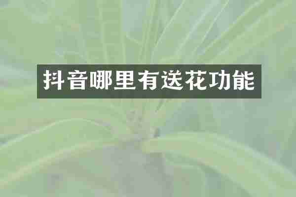 抖音哪里有送花功能