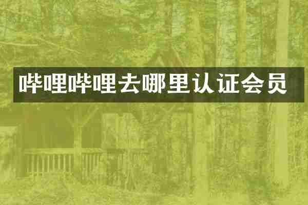 哔哩哔哩去哪里认证会员