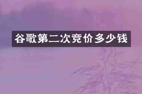 谷歌第二次竞价多少钱