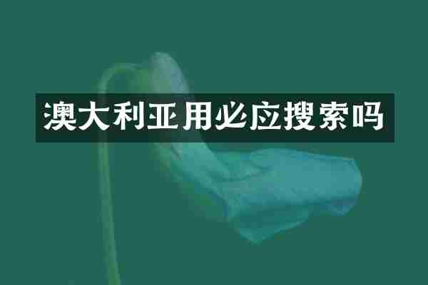 澳大利亚用必应搜索吗