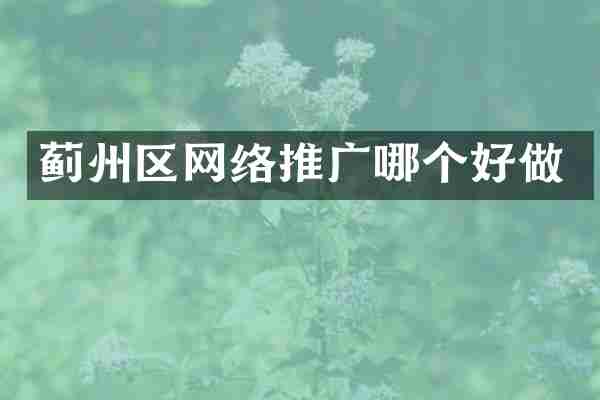 蓟州区网络推广哪个好做