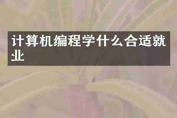计算机编程学什么合适就业