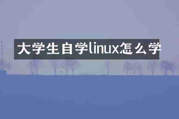 大学生自学linux怎么学