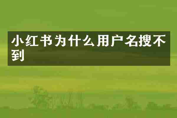 小红书为什么用户名搜不到