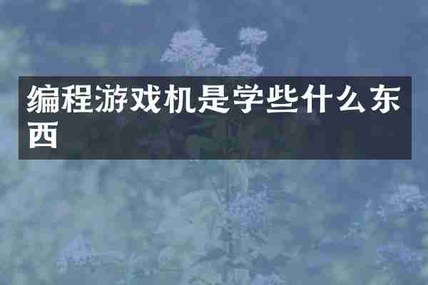 编程游戏机是学些什么东西