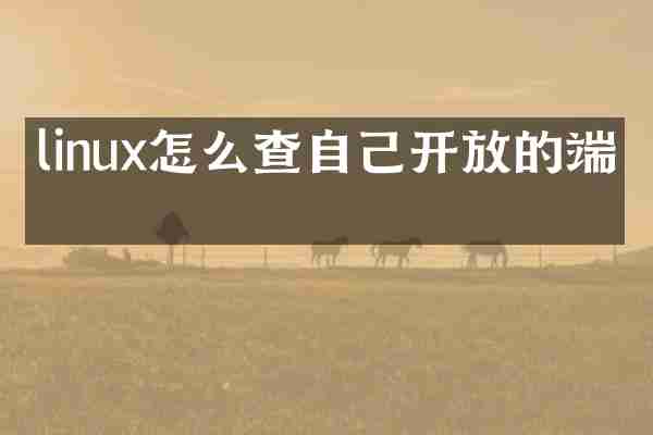 linux怎么查自己开放的端口