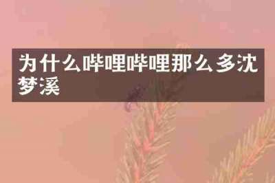 为什么哔哩哔哩那么多沈梦溪