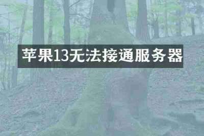 苹果13无法接通服务器