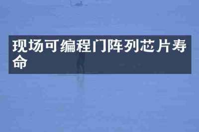 现场可编程门阵列芯片寿命