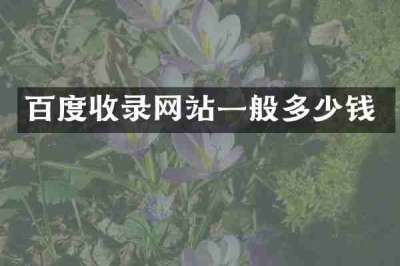 百度收录网站一般多少钱