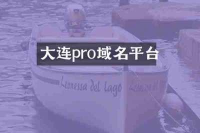 大连pro域名平台