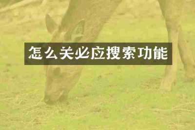 怎么关必应搜索功能
