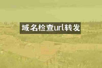 域名检查url转发