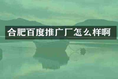 合肥百度推广厂怎么样啊
