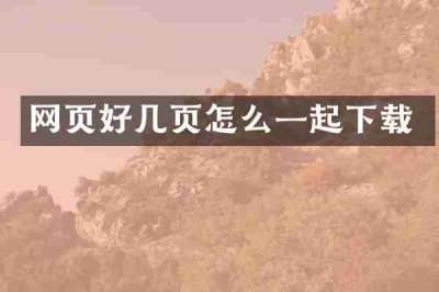 网页好几页怎么一起下载