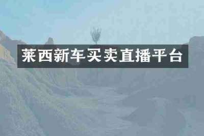 莱西新车买卖直播平台