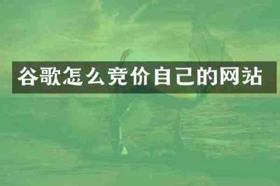 谷歌怎么竞价自己的网站