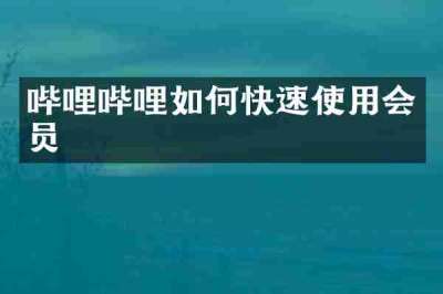 哔哩哔哩如何快速使用会员