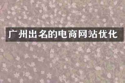 广州出名的电商网站优化
