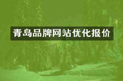 青岛品牌网站优化报价