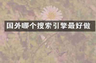 国外哪个搜索引擎最好做