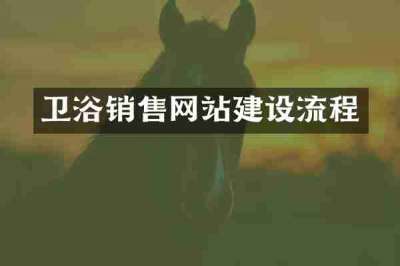 卫浴销售网站建设流程