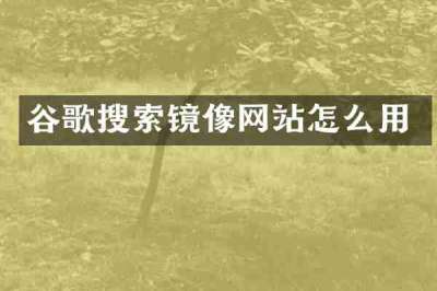谷歌搜索镜像网站怎么用