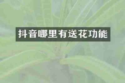 抖音哪里有送花功能