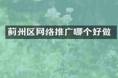蓟州区网络推广哪个好做
