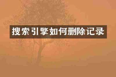 搜索引擎如何删除记录