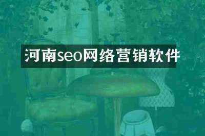 河南seo网络营销软件